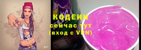 стаф Богородск