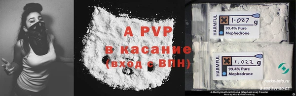 сатива Богородицк