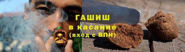 стаф Богородск