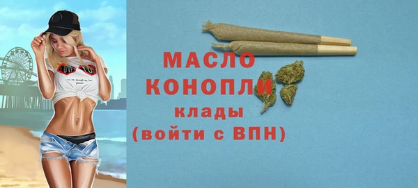 стаф Богородск