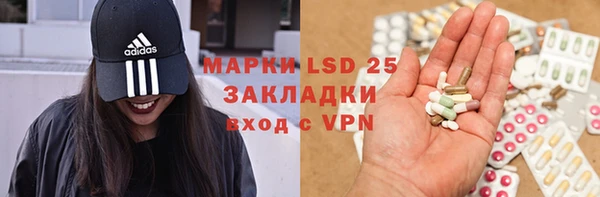 скорость Болотное