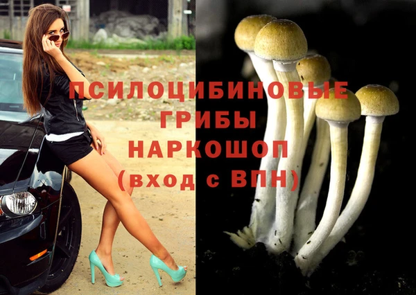 сатива Богородицк