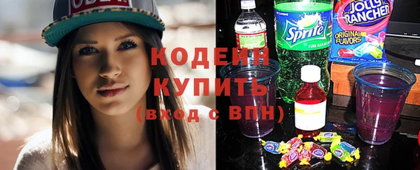 сатива Богородицк