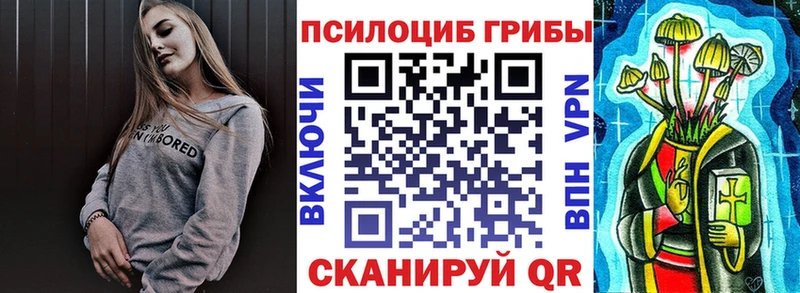 Галлюциногенные грибы Psilocybe  как найти наркотики  даркнет официальный сайт  Видное 